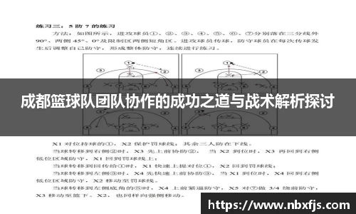 成都篮球队团队协作的成功之道与战术解析探讨