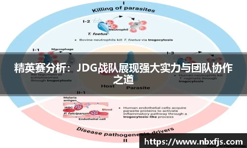 精英赛分析：JDG战队展现强大实力与团队协作之道